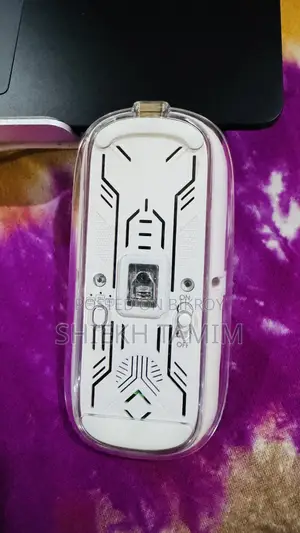 ম্যাজিক মাউস