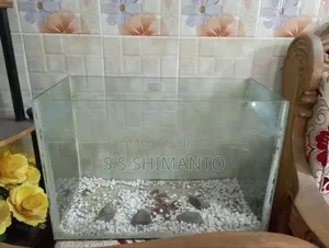 19/9 Aquarium