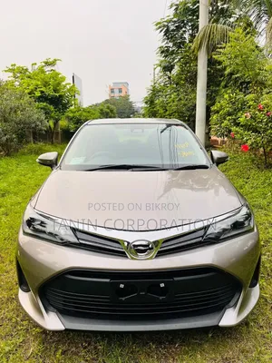 টয়োটা এক্সিও ২০২২ ব্রাউন