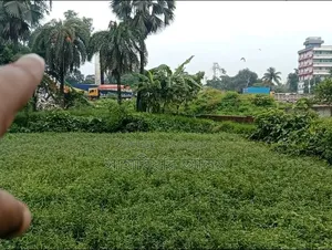 বারোইরহাট হাইওয়ের পাশের জমি