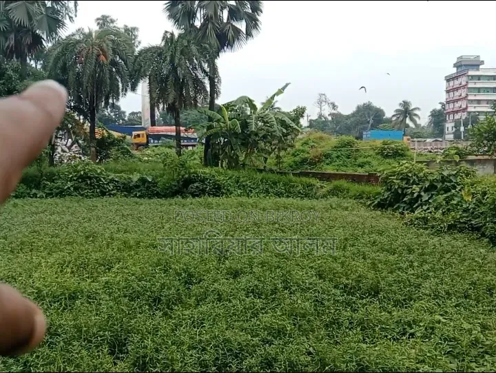 বারোইরহাট হাইওয়ের পাশের জমি