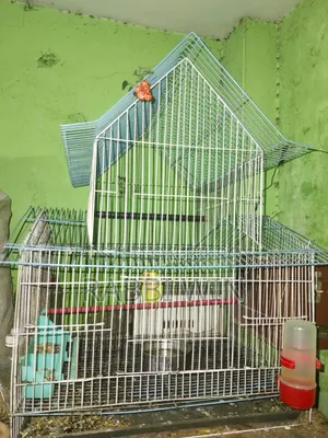 পাখির খাঁচা