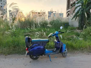 বাজাজ চেতক ১৯৯৬ নীল