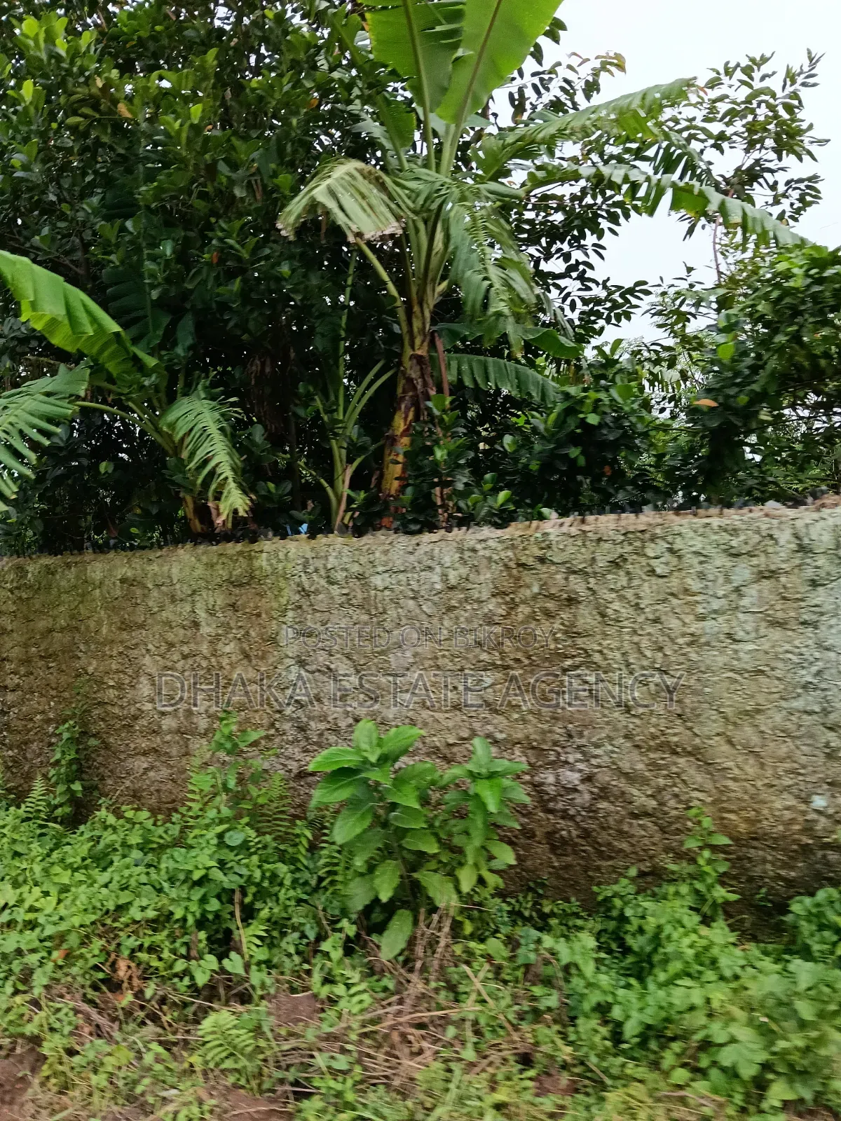 Block-N, Near 300 Feet 200 Feet South Face 4 Katha Plot Sale