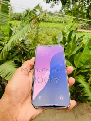 Apple iPhone 12 Pro 128 GB Gray