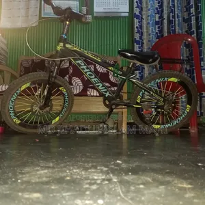 Phoenix Cycle