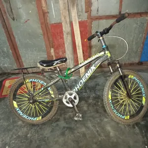 Phoenix Cycle