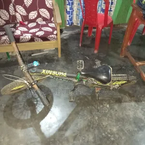 Phoenix Cycle