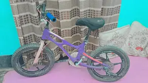 Purple Cycles