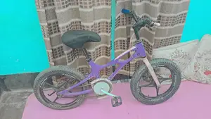Purple Cycles
