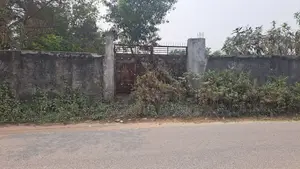 রুপগঞ্জে(নারায়ণগঞ্জ)৩০' রাস্তা সংলগ্ন ৬৫কাঠা জমি বিক্রয় হবে