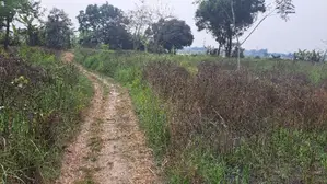 65 Katha land adjacent to 30' road for sale in Rupganj (Narayanganj)