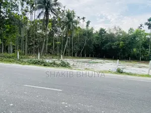 Suitable land for building a warehouse/factory on the Bhola-Barishal highway.