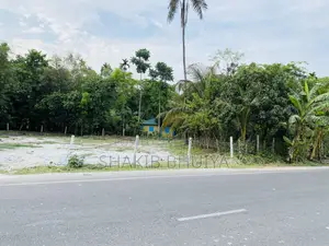 ভোলা - বরিশাল মহাসড়কে গোডাউন/ কারখানা তৈরী করার জন্য উপযুক্ত জায়গা।