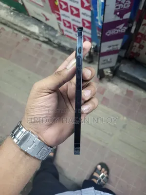 অ্যাপল আইফোন ১২ প্রো ম্যাক্স ১২৮ জিবি নীল