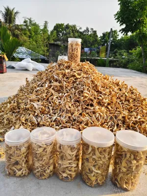 শুকনা ওয়েস্টার মাশরুম | Buy Dried Mushroom Online