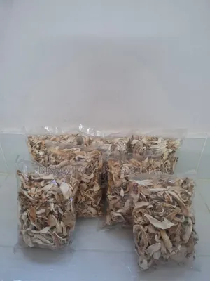Dried Oyster Mushroom | Buy Dried Mushroom Online