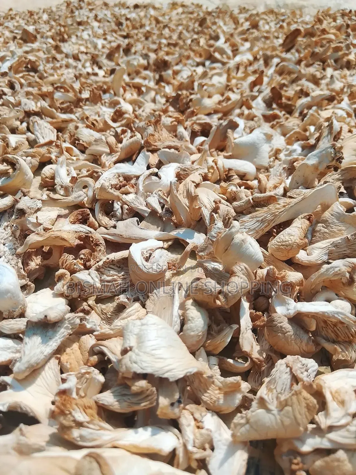 Dried Oyster Mushroom | Buy Dried Mushroom Online