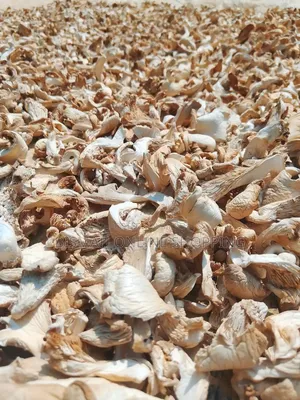 Dried Oyster Mushroom | Buy Dried Mushroom Online