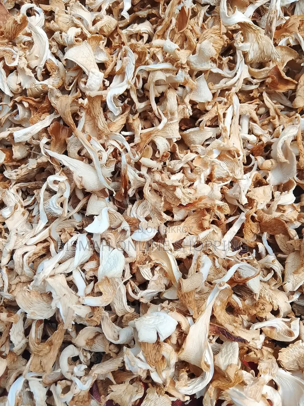 Dried Oyster Mushroom | Buy Dried Mushroom Online