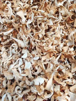 Dried Oyster Mushroom | Buy Dried Mushroom Online