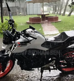 Yamaha FZ 2025 White