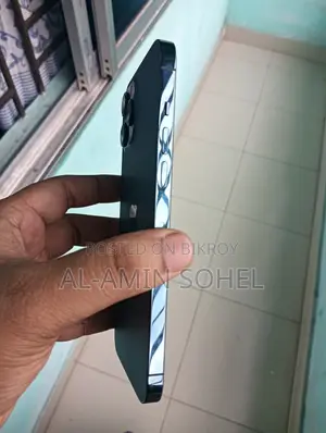 Apple iPhone 12 Pro Max 256 GB Blue