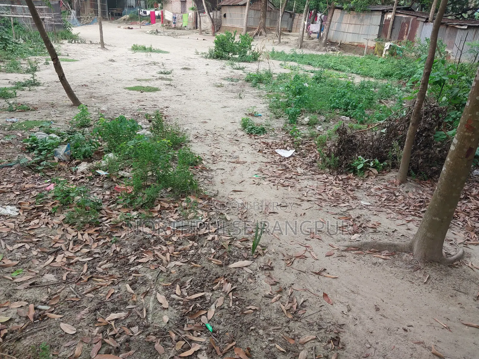 রাজশাহীমুশরাইল মৌজায় ২ কাঠা পরিমাণ বসতবাড়ির জমি বিক্রি হবে