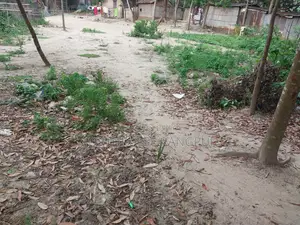 2 katha of residential land for sale in Mushrail Mouza, Rajshahi