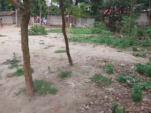 রাজশাহীমুশরাইল মৌজায় ২ কাঠা পরিমাণ বসতবাড়ির জমি বিক্রি হবে