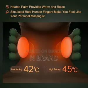 Bionic Heated Massager