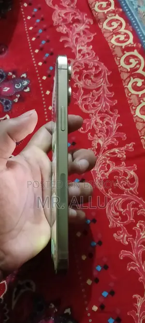 অ্যাপল আইফোন ১২ প্রো ম্যাক্স ২৫৬ জিবি গোল্ড