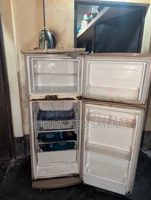Singer Fridge
