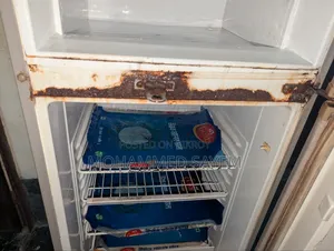 Singer Fridge