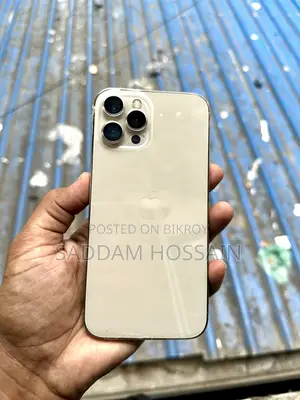 Apple iPhone 12 Pro Max 256 GB Rose Gold