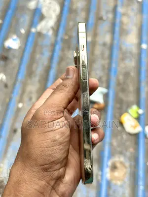 Apple iPhone 12 Pro Max 256 GB Rose Gold