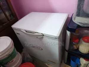 Singer Deep Freezer