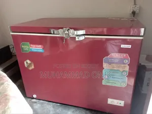 Singer Chest Freezer