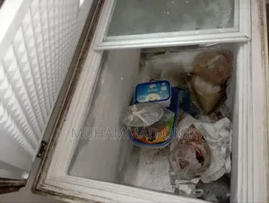 Singer Chest Freezer