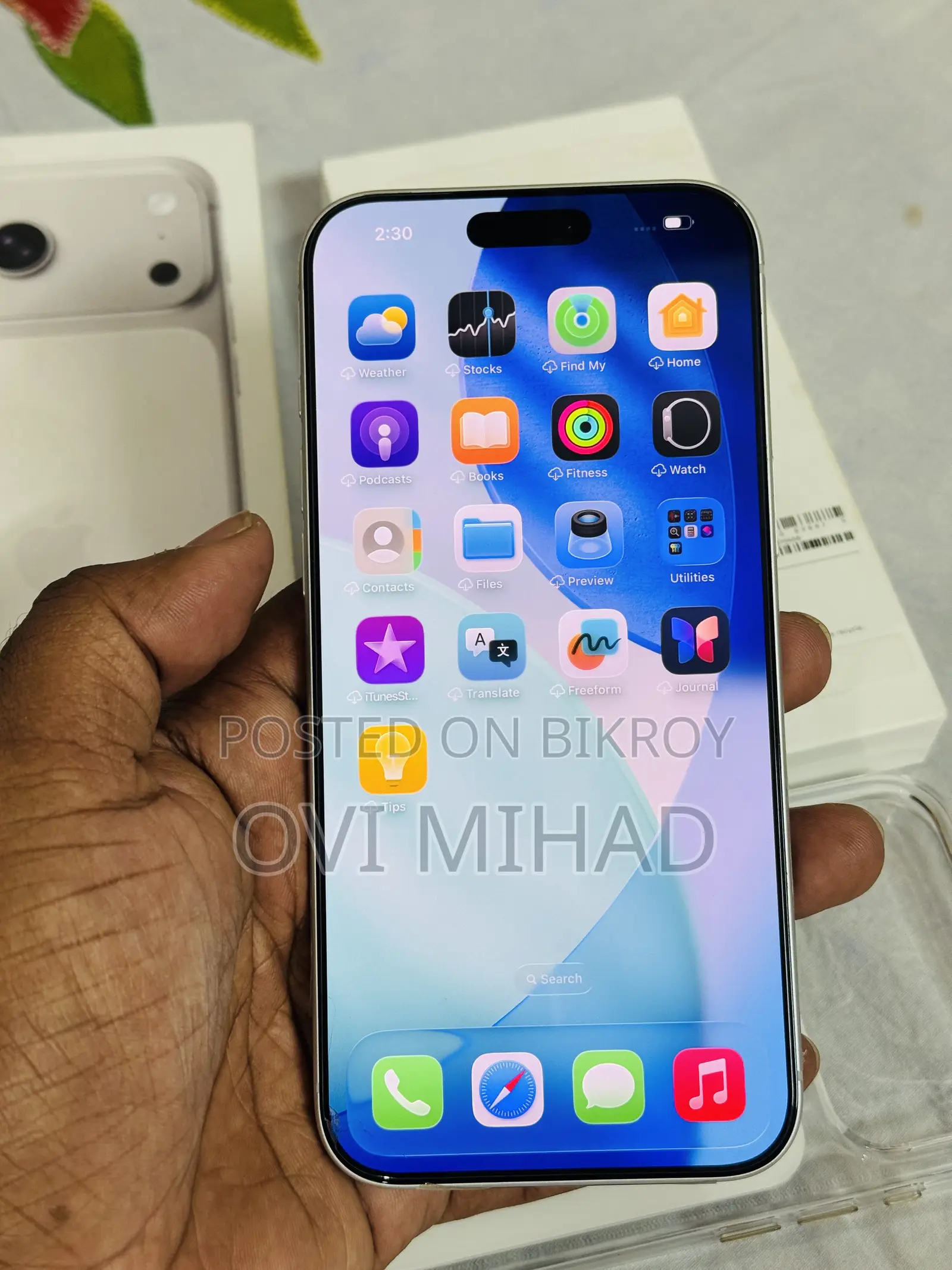 Apple iPhone 17 Pro Max 256 GB সিলভার