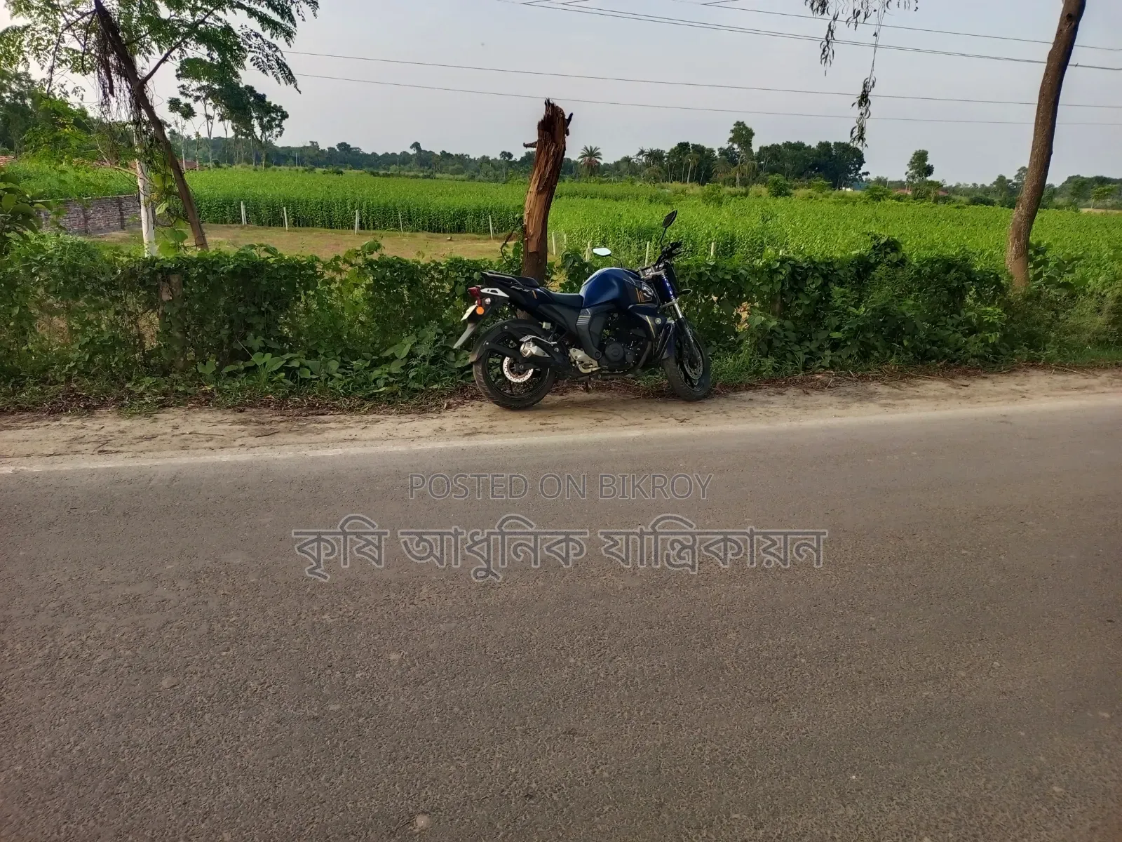 জমি বিক্রয় কলারোয়া