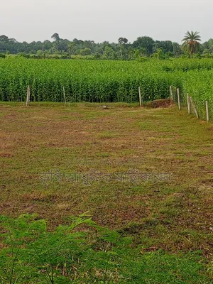জমি বিক্রয় কলারোয়া