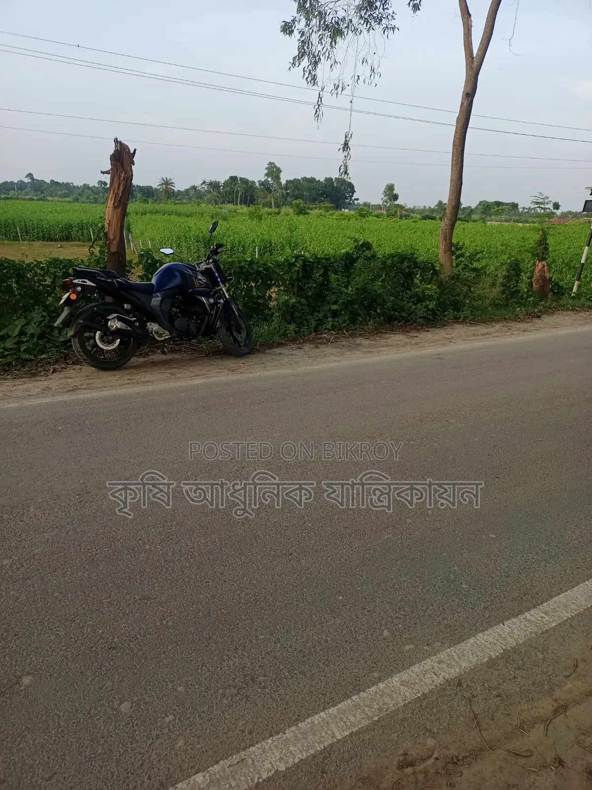 জমি বিক্রয় কলারোয়া