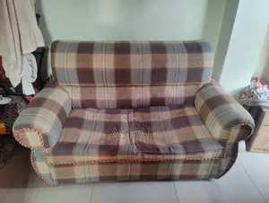 Woodworm-infested Used Double Sofa.