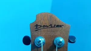 Ukulele for Sale