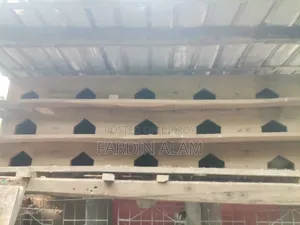 খুব মজবুত কবুতরের খোপ