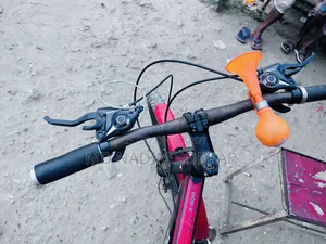 Duronto Bicycle