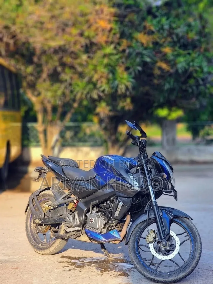 Bajaj Pulsar NS 160 2021 Blue