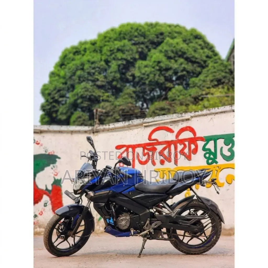 Bajaj Pulsar NS 160 2021 Blue