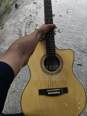 Acoustic Guitar